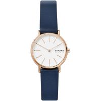 Skagen Leather SKW2838
