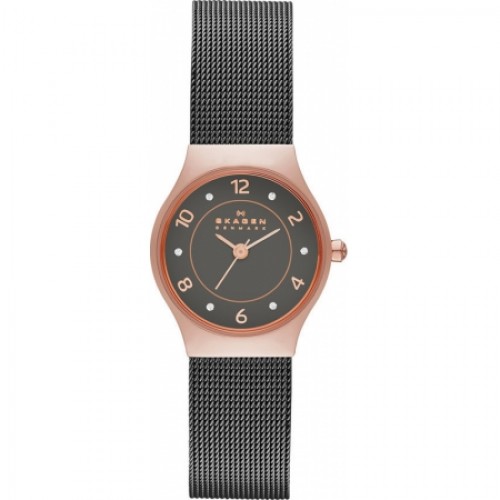 Skagen Mesh SKW2270