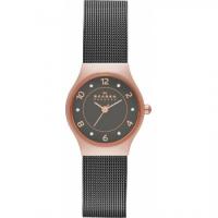 Skagen Mesh SKW2270
