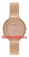 Skagen Mesh SKW2213