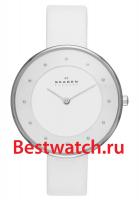 Skagen Leather SKW2136