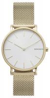 Skagen Mesh SKW6443