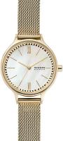 Skagen Mesh SKW2907