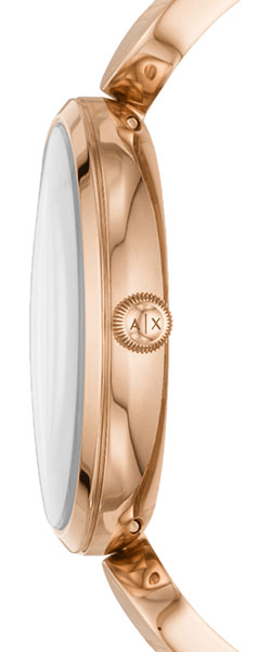 Armani Exchange Brooke AX5328