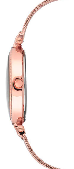 Anne Klein Crystal 2972MPRG