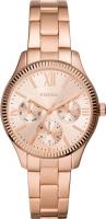 Fossil Rye BQ3691
