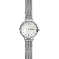 Skagen Mesh SKW2966