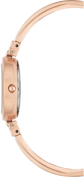 Anne Klein 2622BKRG