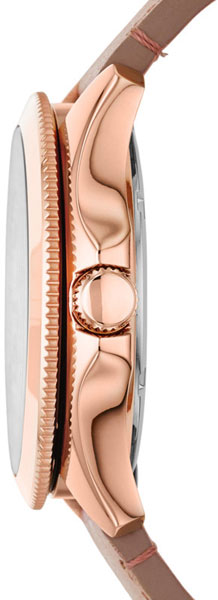Fossil Cecile AM4532