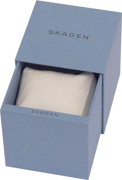 Skagen SKW6041