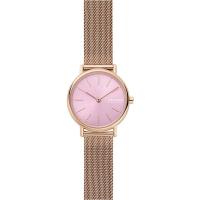 Skagen Mesh SKW2975