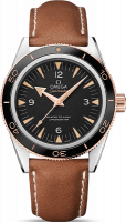 Omega Seamaster 233.22.41.21.01.002