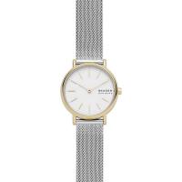 Skagen Mesh SKW2910