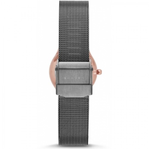 Skagen Mesh SKW2270