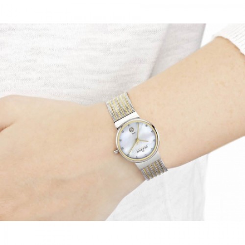 Skagen Steel 355SSGS