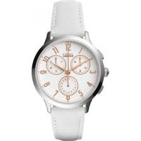 Fossil  CH4000