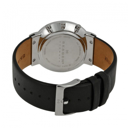 Skagen Leather SKW6105