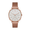 Skagen Mesh SKW2401