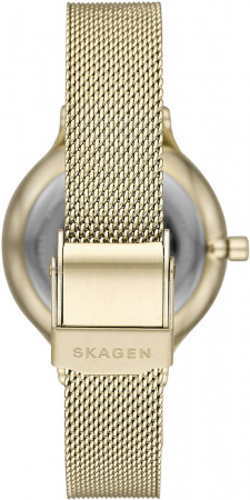 Skagen Mesh SKW2907