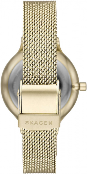 Skagen Mesh SKW2907
