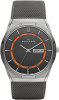 Skagen Mesh SKW6007