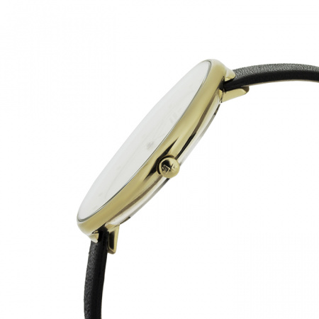 Skagen Leather SKW2262