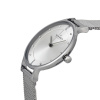 Skagen Mesh SKW2149