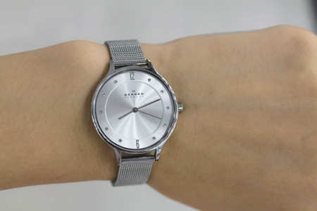 Skagen Mesh SKW2149