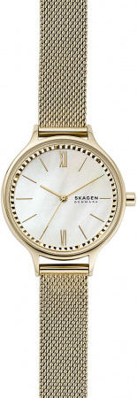 Skagen Mesh SKW2907
