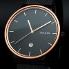 Skagen Mesh SKW6296