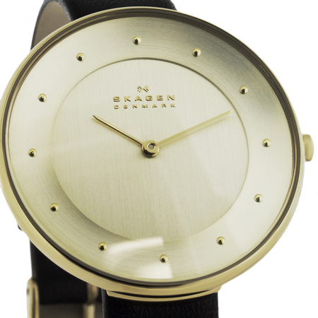 Skagen Leather SKW2262