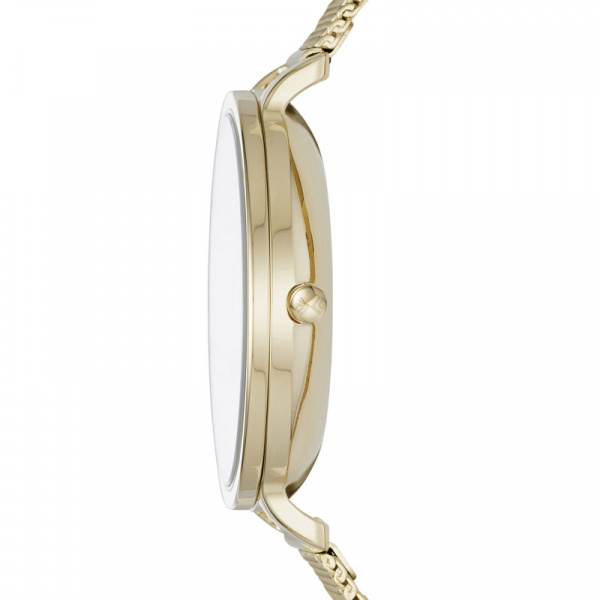 Skagen Mesh SKW2436