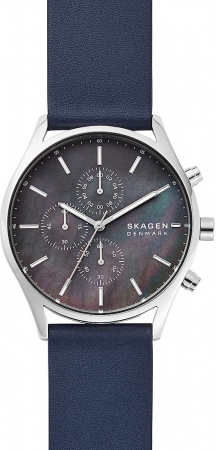 Skagen Leather SKW6653