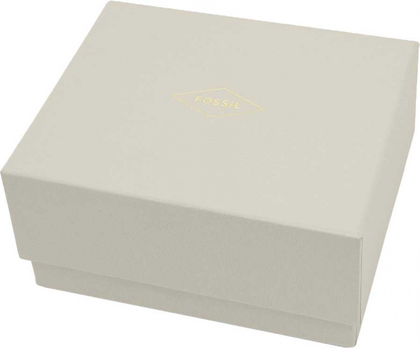Fossil Lexie Luther BQ3570SET