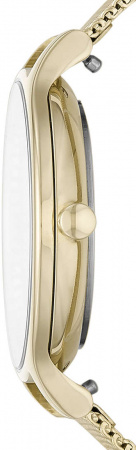 Skagen Mesh SKW2907