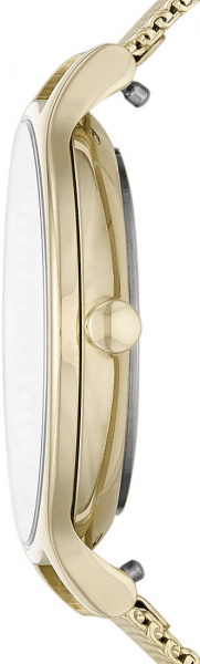 Skagen Mesh SKW2907