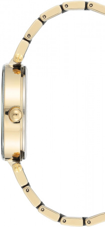 Anne Klein Daily 3844BKGB