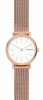 Skagen Mesh SKW2694