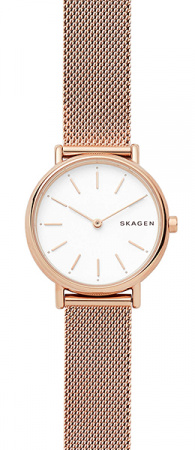 Skagen Mesh SKW2694