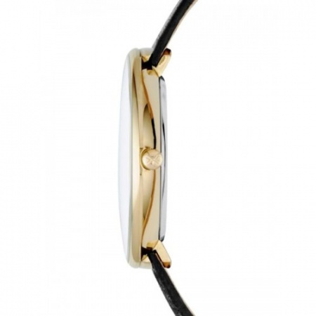Skagen Leather SKW2262