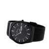 Skagen Mesh SKW6006