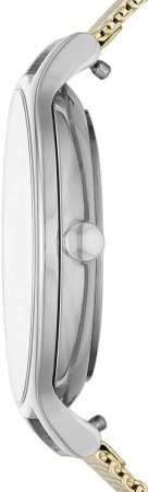 Skagen Mesh SKW2908