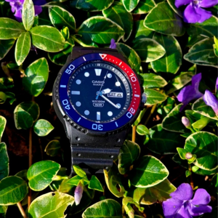 Casio Collection MRW-230H-1E2