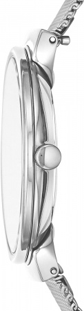 Skagen Mesh SKW2833