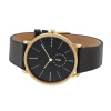 Skagen Leather SKW6217