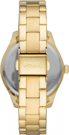 Fossil Rye BQ3692