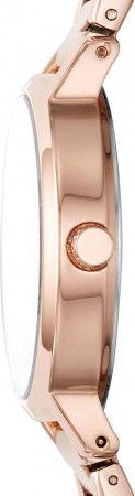 DKNY Modernist NY2839