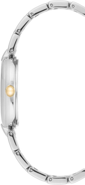 Anne Klein Daily 3657MPTT