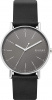 Skagen Leather SKW6654