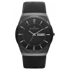 Skagen Mesh SKW6006